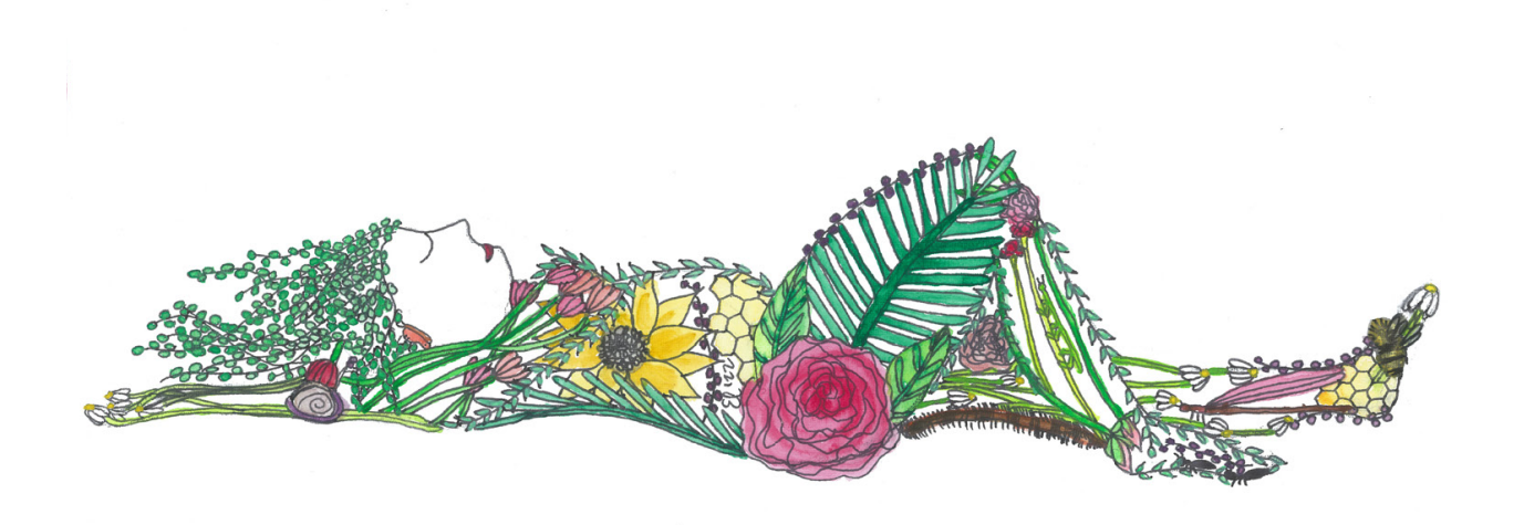 Organs & Body Systems Card Bundle *PREORDER*