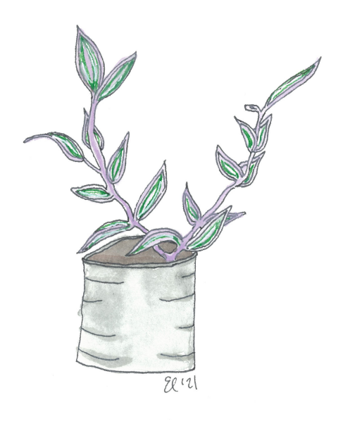 Wandering Jew
