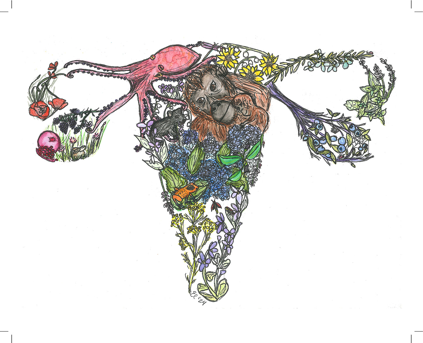 Reproductive System