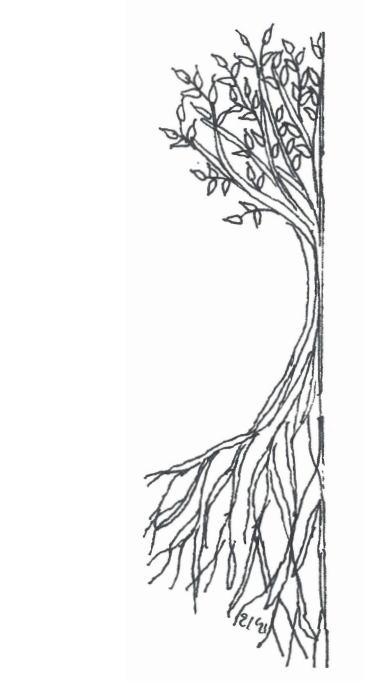 Half Tree – El's Art Cart