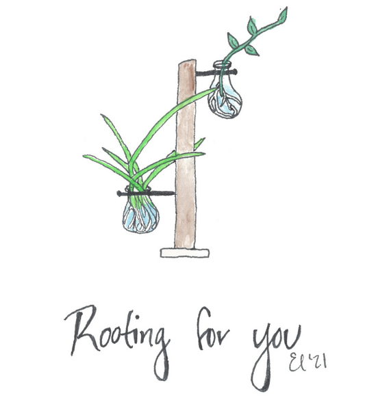 Rooting for You